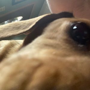 Meet your Posher, Lee